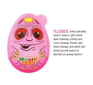Giant Magik Egg
